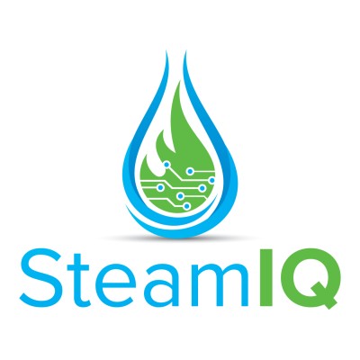 SteamIQ's Logo