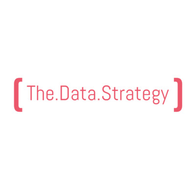 The Data Strategy's Logo