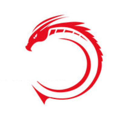 Dragon Metal Manufacturing's Logo