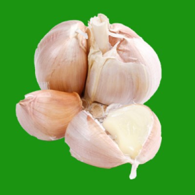 Garlic Processing Machine's Logo