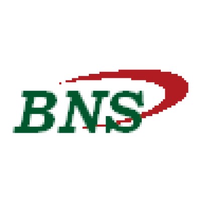 BNS ANALYTICS's Logo