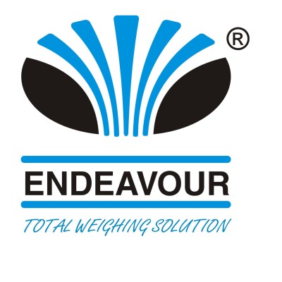 ENDEAVOUR INSTRUMENT PVT. LTD.'s Logo