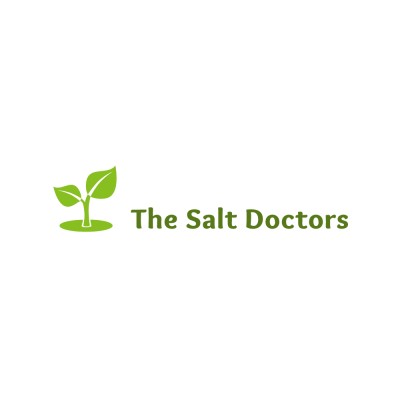 Top 46 Salt Companies in Netherlands (2026) | ensun