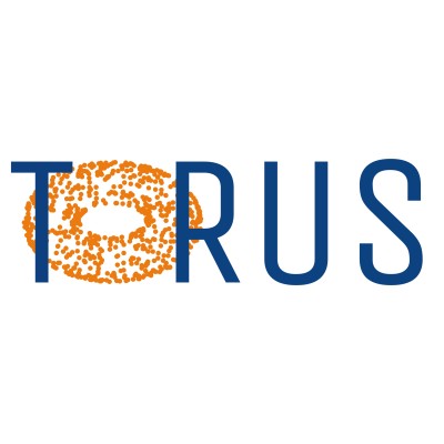 Torus Inc.'s Logo