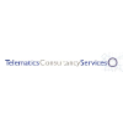 Telematics Consultancy Services's Logo