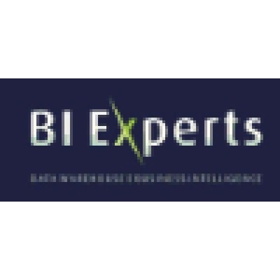 BI Experts's Logo