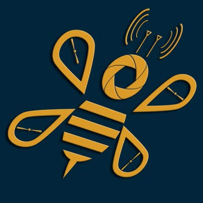 Drone Bees's Logo