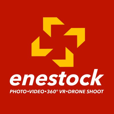 enestock's Logo