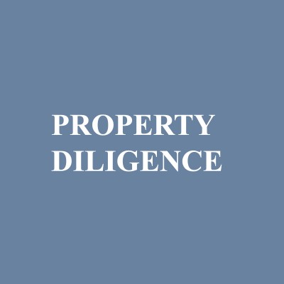 Property Diligence's Logo