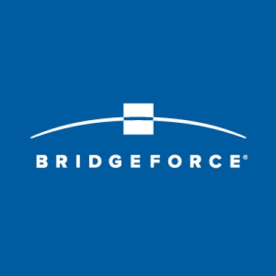 Bridgeforce's Logo