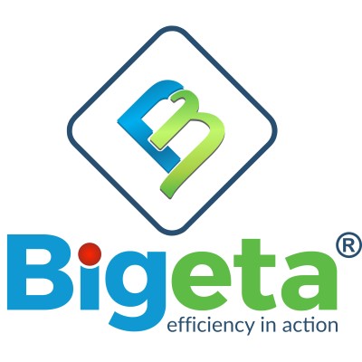 Bigeta Energy Solutions's Logo