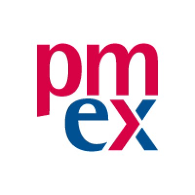 pmexperts (PMI® ATP) project management's Logo