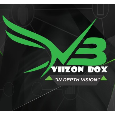 Viizon Box - 2D & 3D Animation Studio's Logo