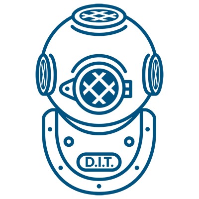 Divers Institute of Technology's Logo