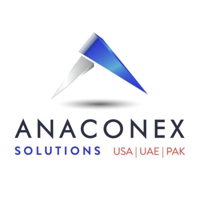 AnaConEx Solutions LLC.'s Logo