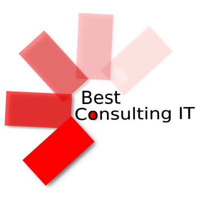 Best Consulting IT's Logo