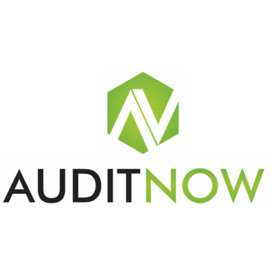 AuditNow's Logo