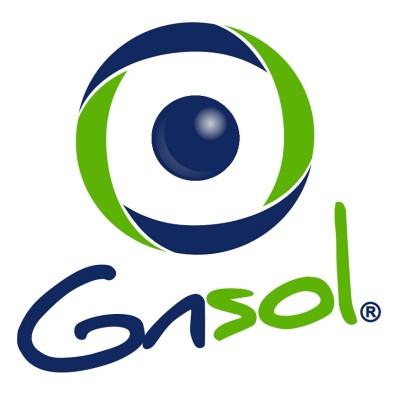 GNSOL CORP's Logo