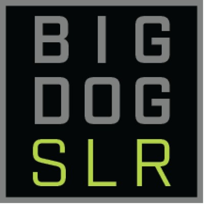 Big Dog Solar Energy's Logo