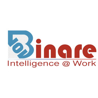 Binare Inc's Logo