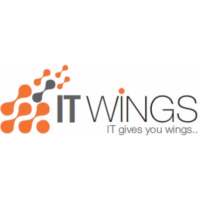 ITWINGS INFOSYSTEM PRIVATE LIMITED's Logo