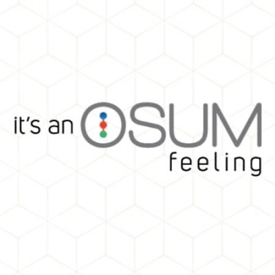 OSUM Smart Innovations's Logo