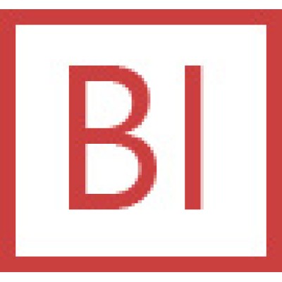 bi-solutions.pl's Logo