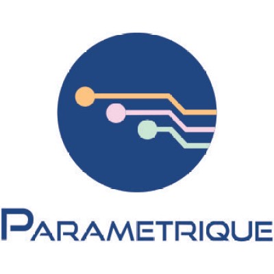 Parametrique Electronic Solutions Pvt. Ltd.'s Logo