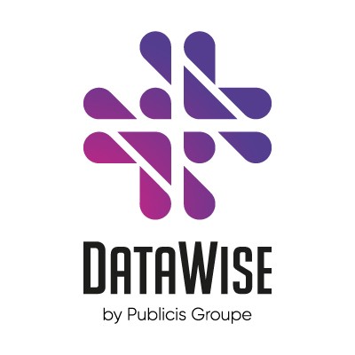 DataWise's Logo