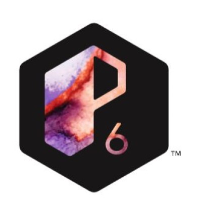 Prime 6's Logo