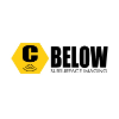 C Below Subsurface Imaging's Logo