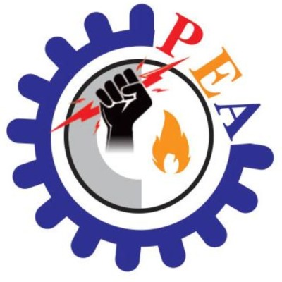 PAK ENGINEERING AND AUTOMATION's Logo