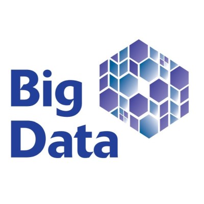 Big Data's Logo