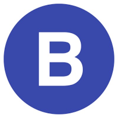 BitMiner Pro's Logo