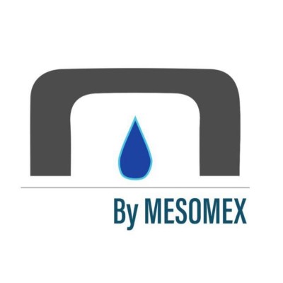 MESOMEX S.A. DE C.V.'s Logo