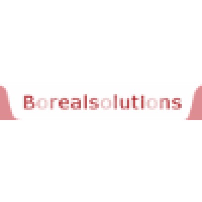 Boreal Solutions Ltd.'s Logo