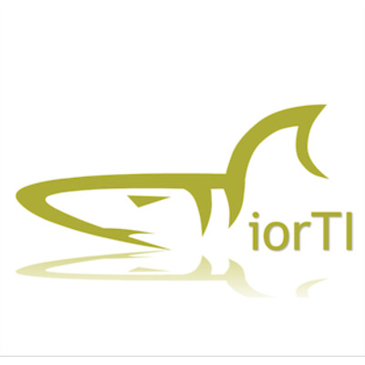 iorTI consulting S.C.'s Logo