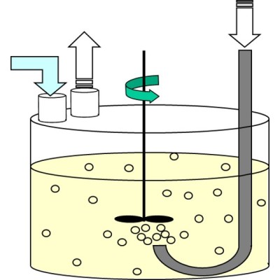 In Silico Fermentation's Logo