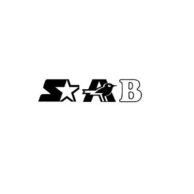 SAB IT SERVICES's Logo