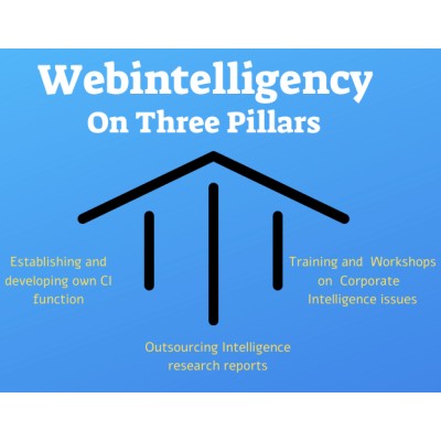 Webintelligency's Logo