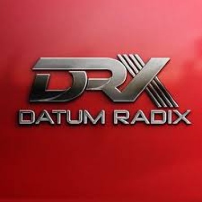 Datum Radix LLC's Logo