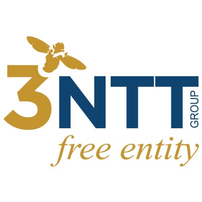 3NTT Group's Logo