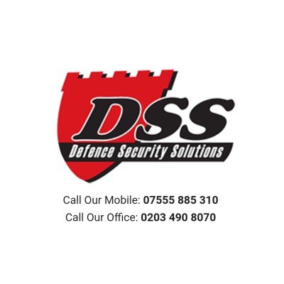 Defence Security Solutions's Logo