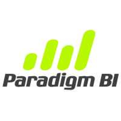 Paradigm BI's Logo