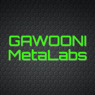 GAWOONI MetaLabs's Logo