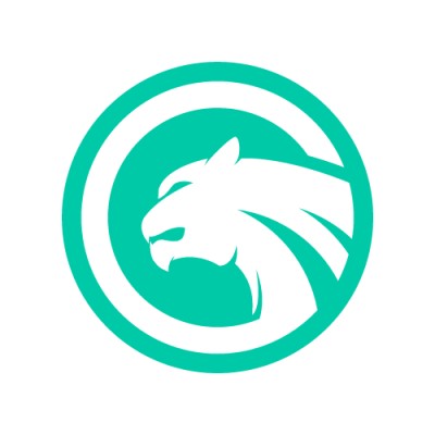Briravo's Logo
