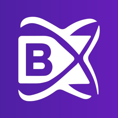 BlockchainX's Logo