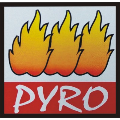 PYRO INDUSTRIAL CONTROLS's Logo