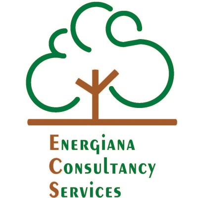 Energiana's Logo