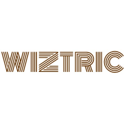 Wiztric Technologies Private Limited's Logo